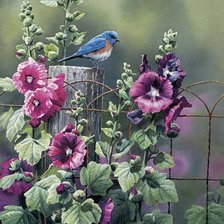 Схема вышивки «цветы»