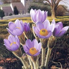 Схема вышивки «№306025»