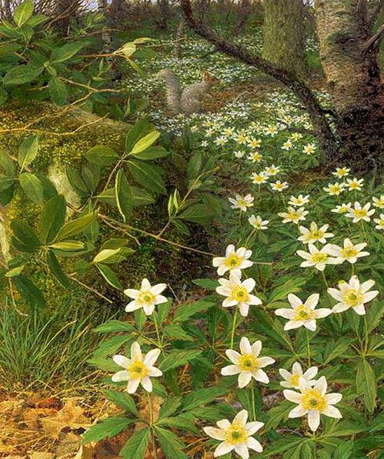 №306029 - оригинал