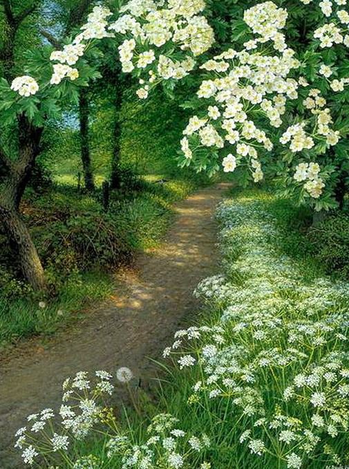 №306036 - оригинал