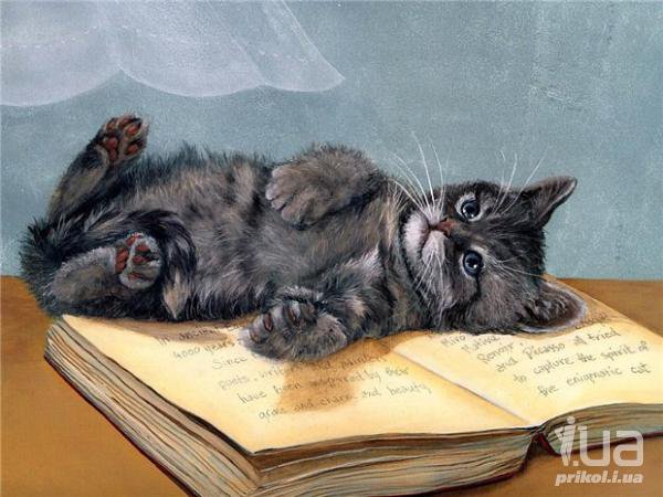 №306069 - оригинал