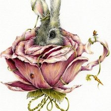 Зайкина любовь.