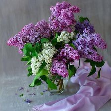 Схема вышивки «Сирень»