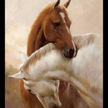 Схема вышивки «Две лошади»