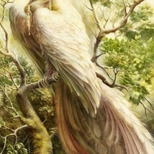 Схема вышивки «Птица Феникс»