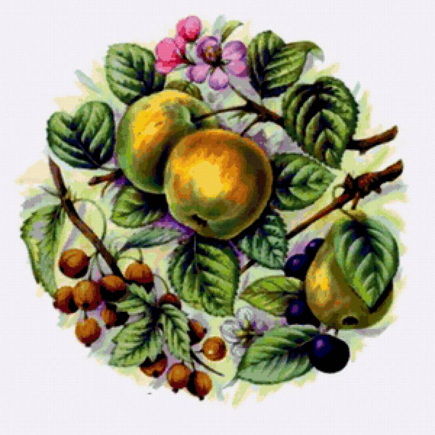 фруктовый натюрморт - предпросмотр