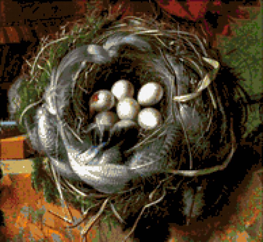 Гнездо - гнездо., пернатые, разное - предпросмотр