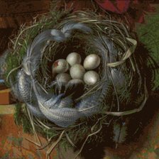 Схема вышивки «Гнездо»