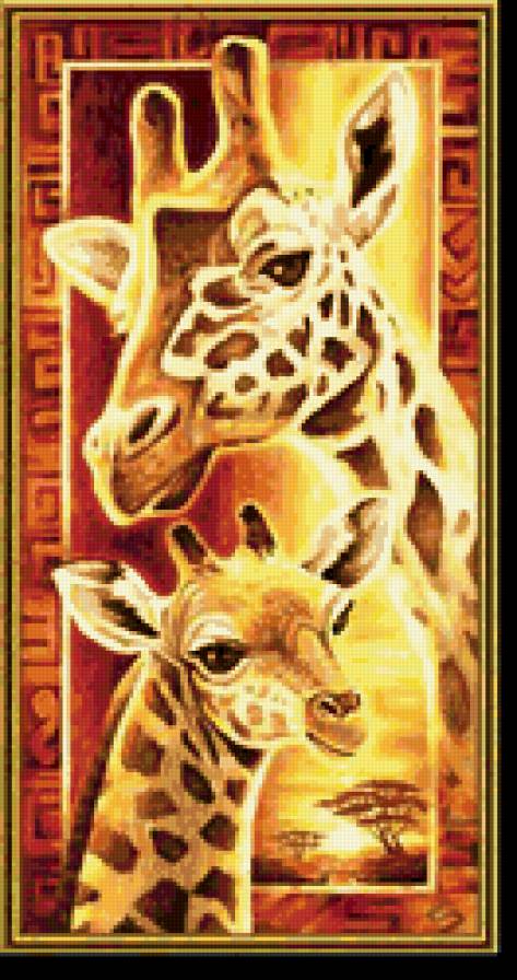 жирафы - животные - предпросмотр