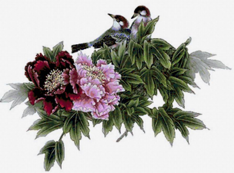 пионы и птицы - предпросмотр