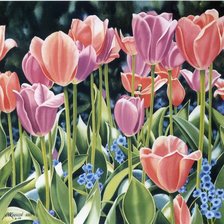 Схема вышивки «тюльпаны»