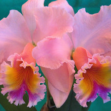 Схема вышивки «№306485»