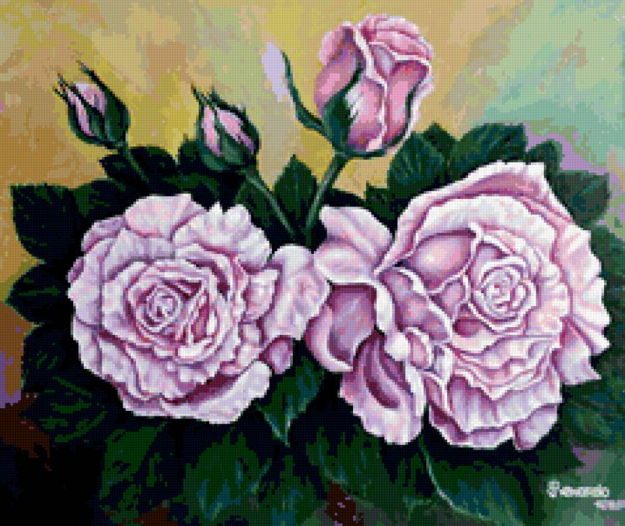 розовые розы - цветы - предпросмотр