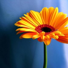 Схема вышивки «Цветок»