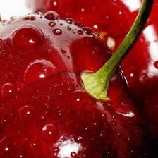 Схема вышивки «042»