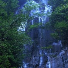 Схема вышивки «049»