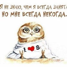 Схема вышивки «051»