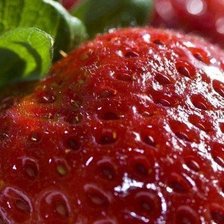 Схема вышивки «054»