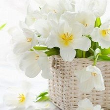 Схема вышивки «056»