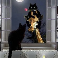 Схема вышивки «№306537»