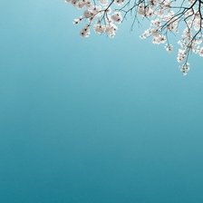 Схема вышивки «059»