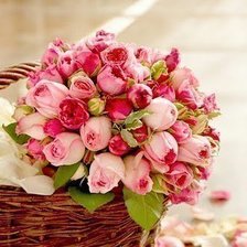 Схема вышивки «072»