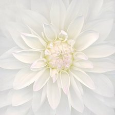 Схема вышивки «073»