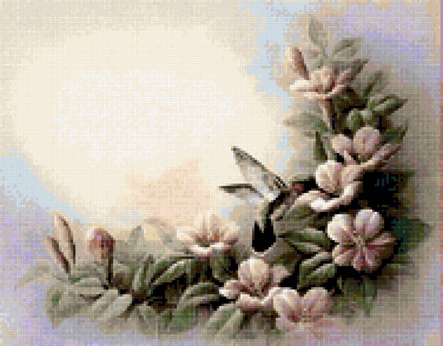 Калибри 2 - цветы, калибри, пернатые - предпросмотр