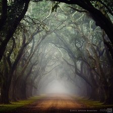 Схема вышивки «080»