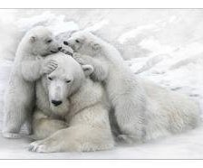 Схема вышивки «№306761»