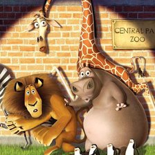 Схема вышивки «мадагаскар»