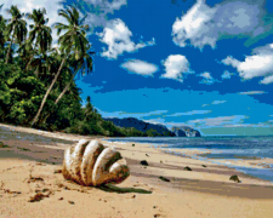 пальмы - предпросмотр