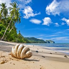 Схема вышивки «пальмы»