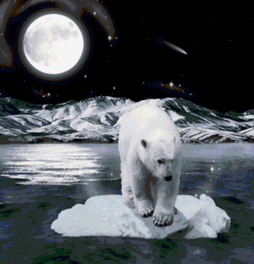 мишка - лед, зима, животные, ночь, луна, полюс, север, медведь - предпросмотр