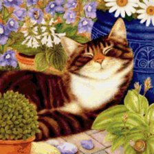 Сладкие сны