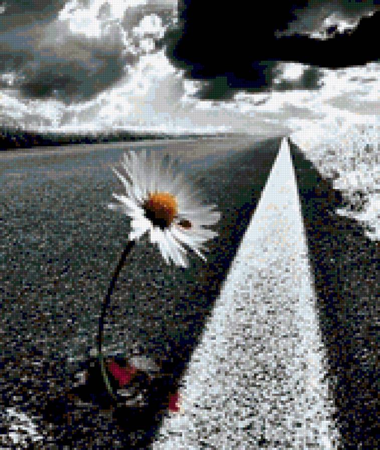 Ромашка - предпросмотр