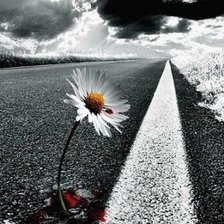 Схема вышивки «Ромашка»