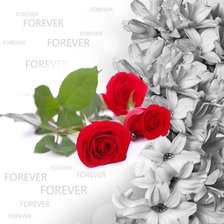 Схема вышивки «триптих2»