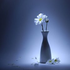ромашка в вазе