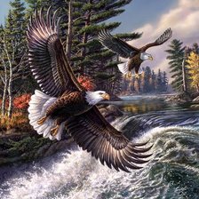 Схема вышивки «орлы»