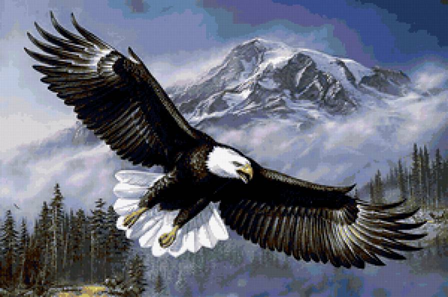 красота - картина - предпросмотр