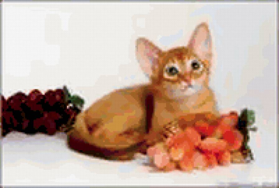 №307353 - предпросмотр