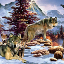 семья волков