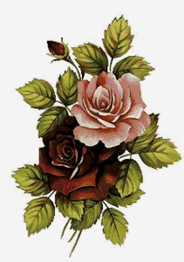 розы - предпросмотр