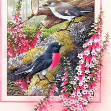 Схема вышивки «птички-невелички»