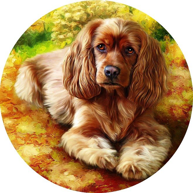 №307587 - оригинал