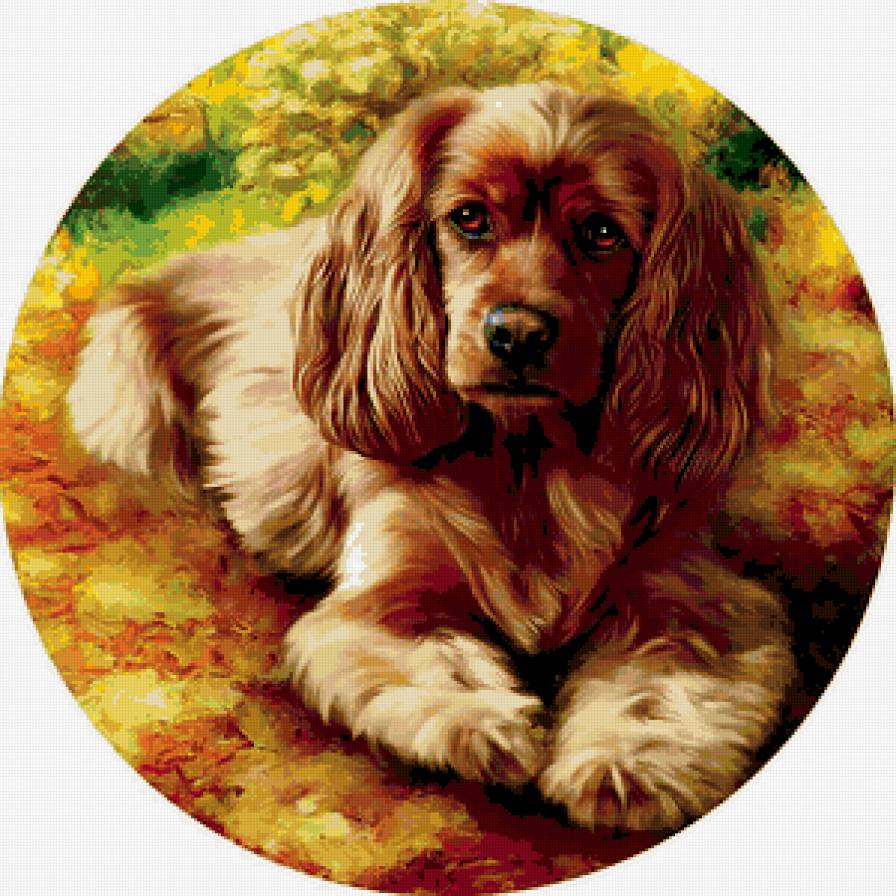 №307587 - предпросмотр