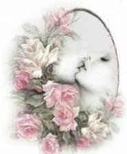 Схема вышивки «пара»