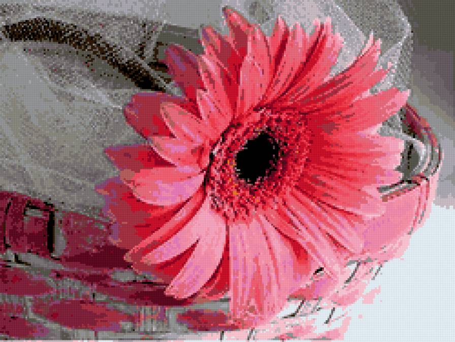 №307606 - предпросмотр