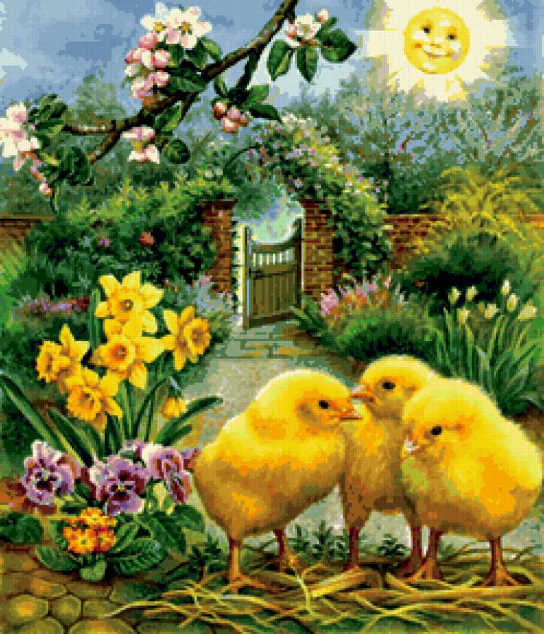 маленькие солнышки - птицы - предпросмотр